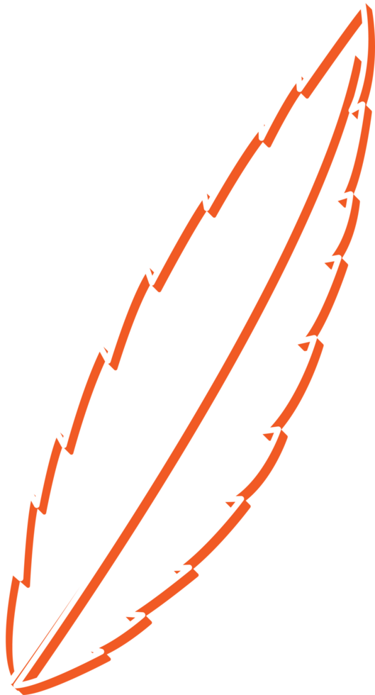 hand draw leaf png