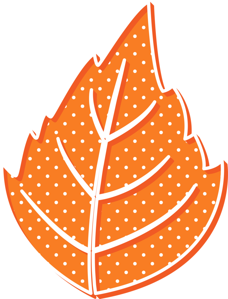 hand draw leaf png