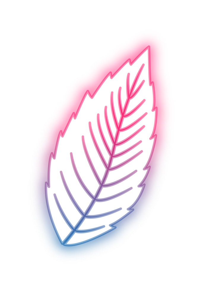 hand draw leaf png
