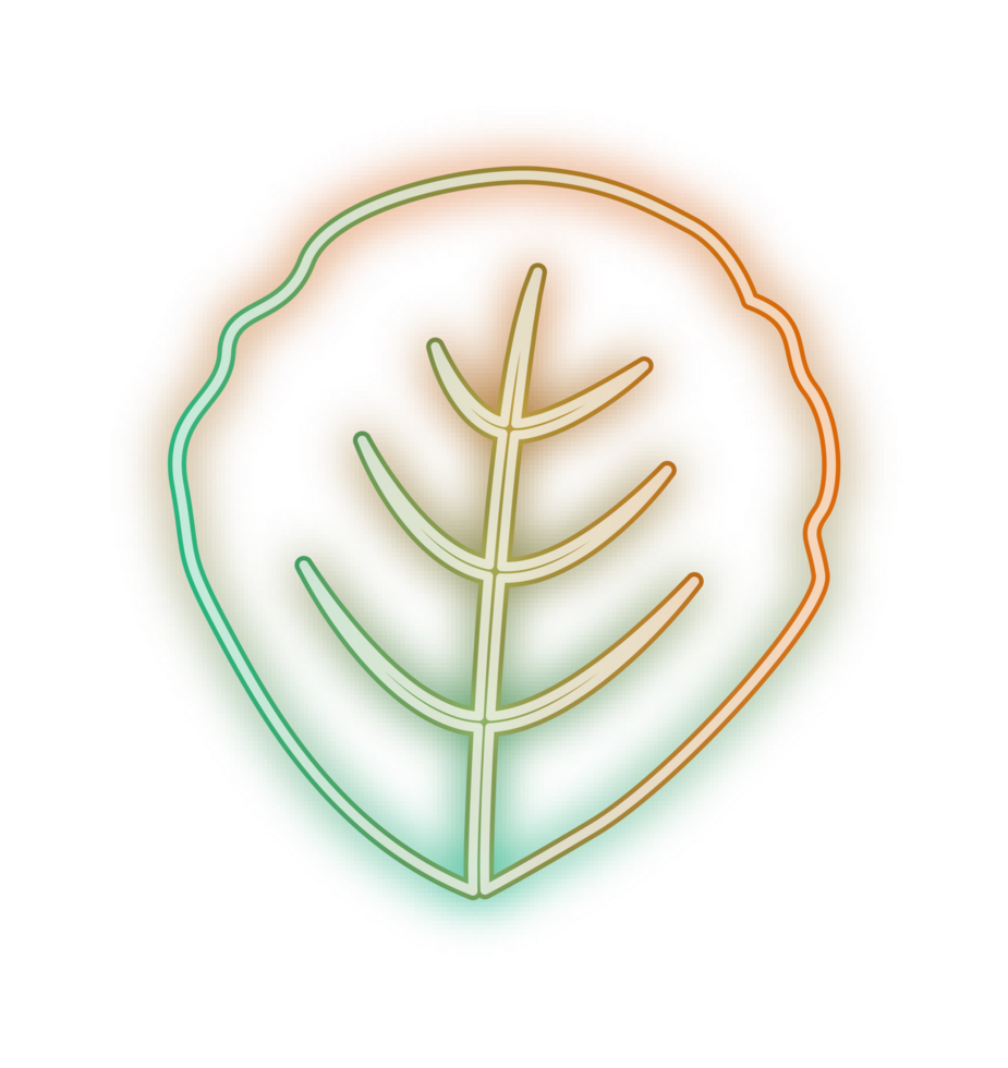 hand draw leaf png