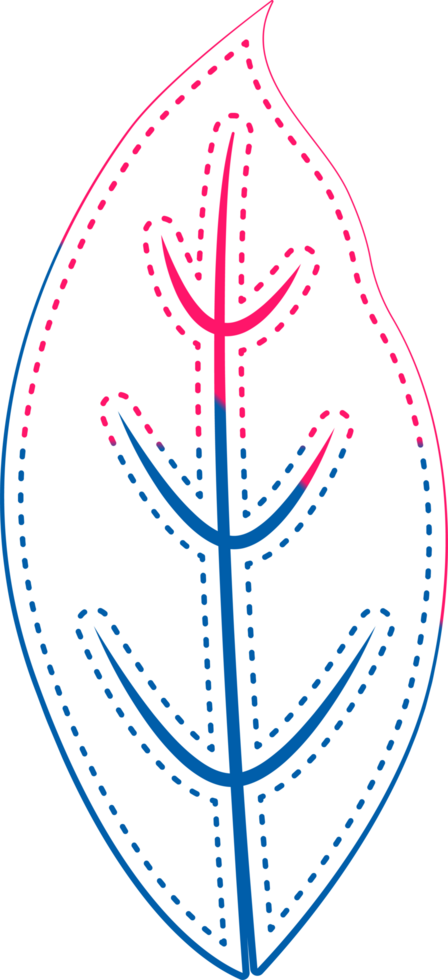 hand draw leaf png