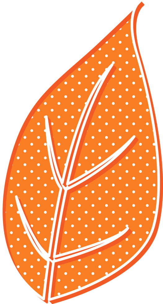 hand draw leaf png