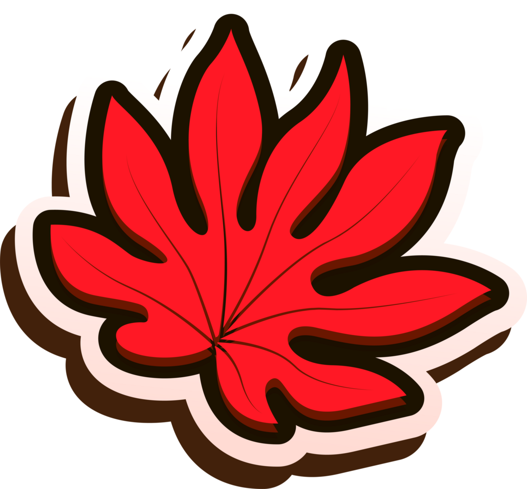 hand draw leaf png