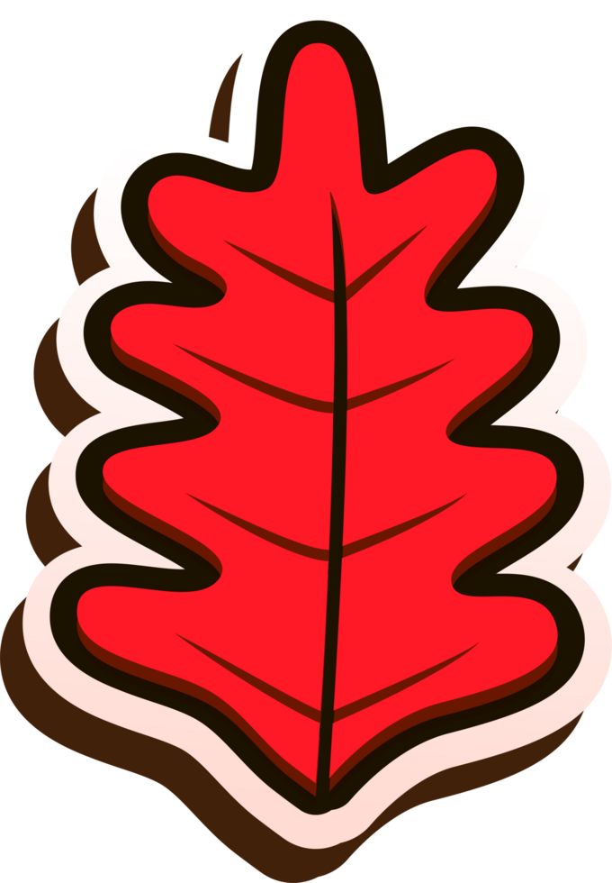hand draw leaf png