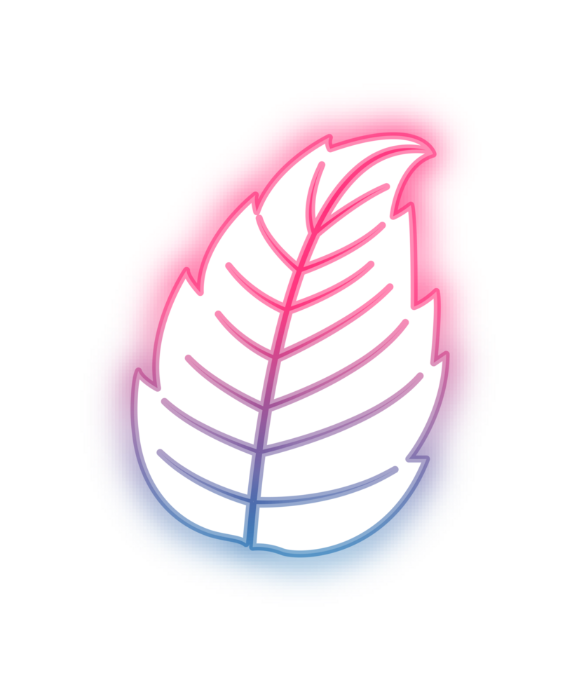 hand draw leaf png