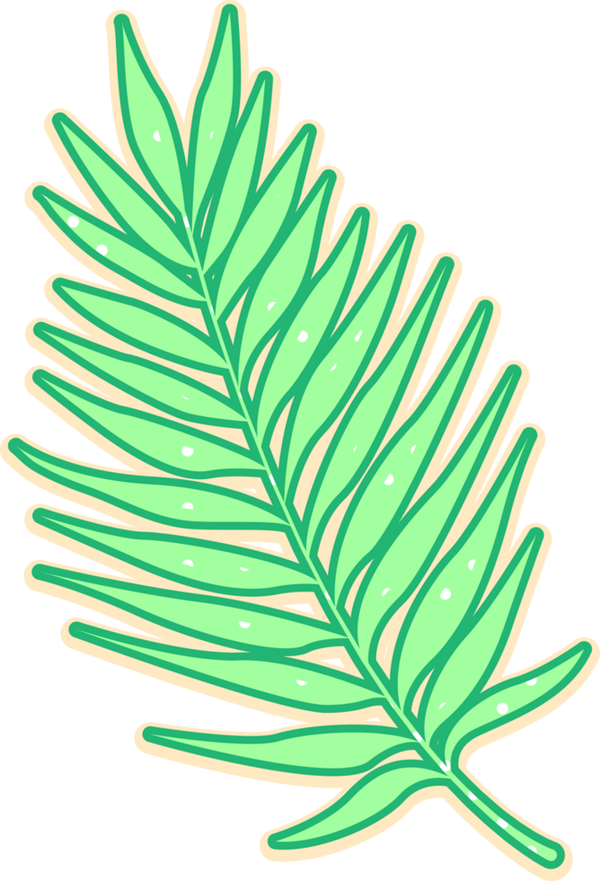 hand draw leaf png