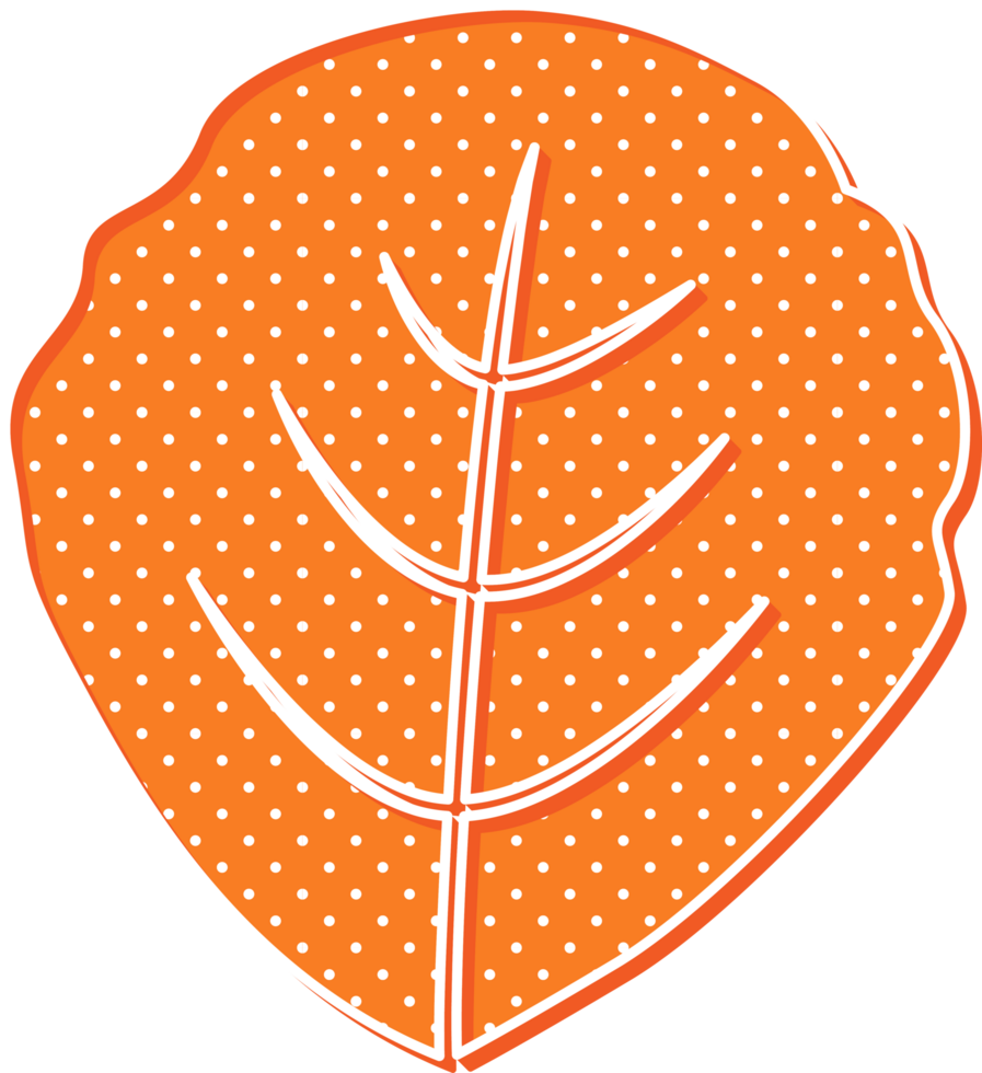 hand draw leaf png