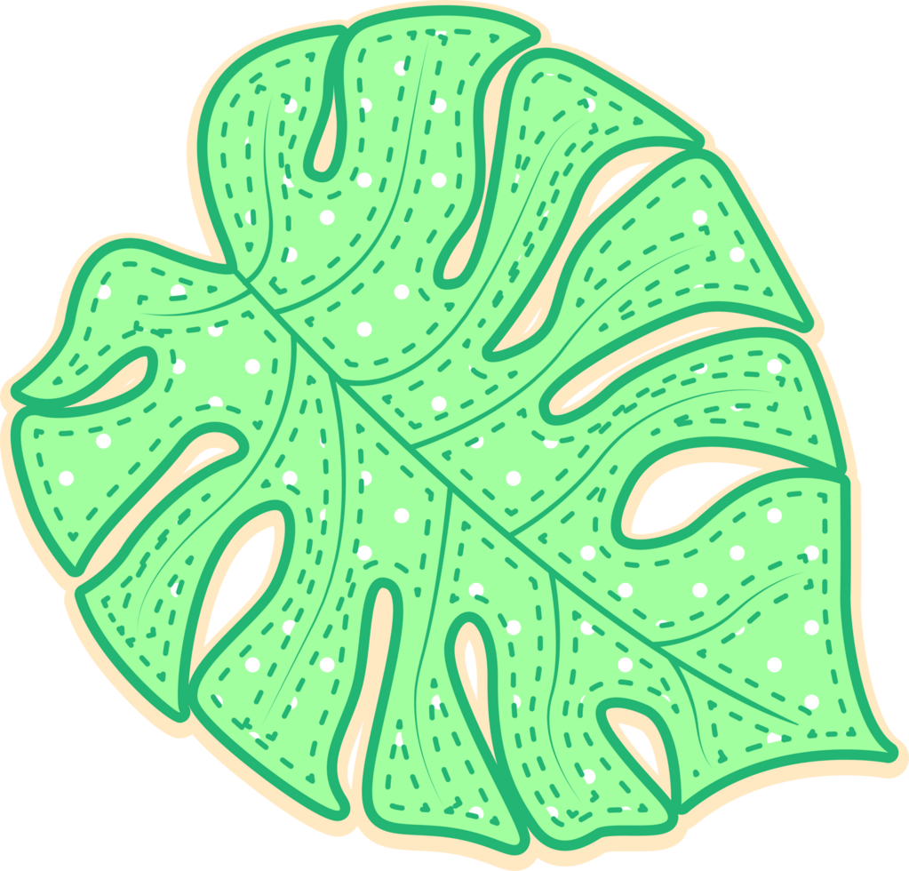 hand draw leaf png