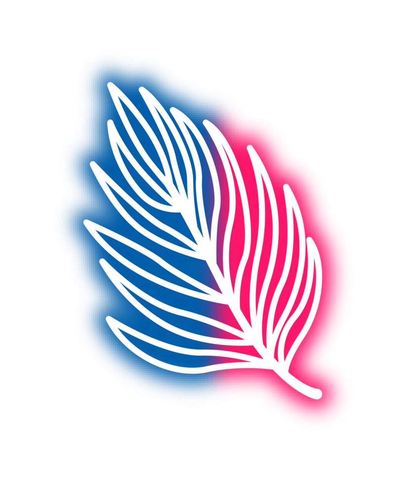 hand draw leaf png