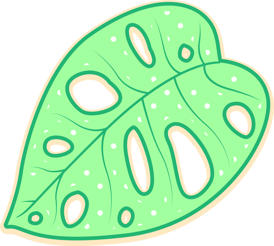 hand draw leaf png