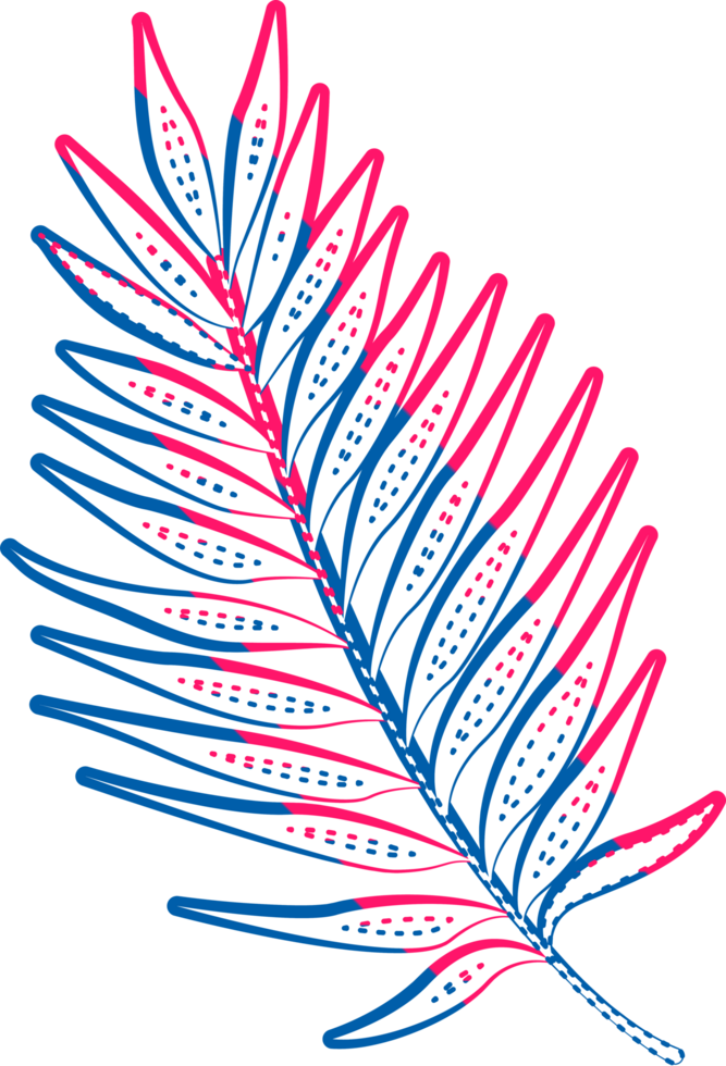hand draw leaf png