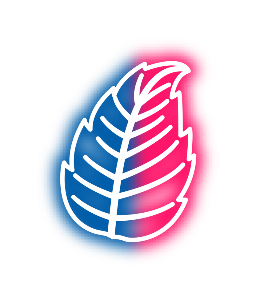 hand draw leaf png