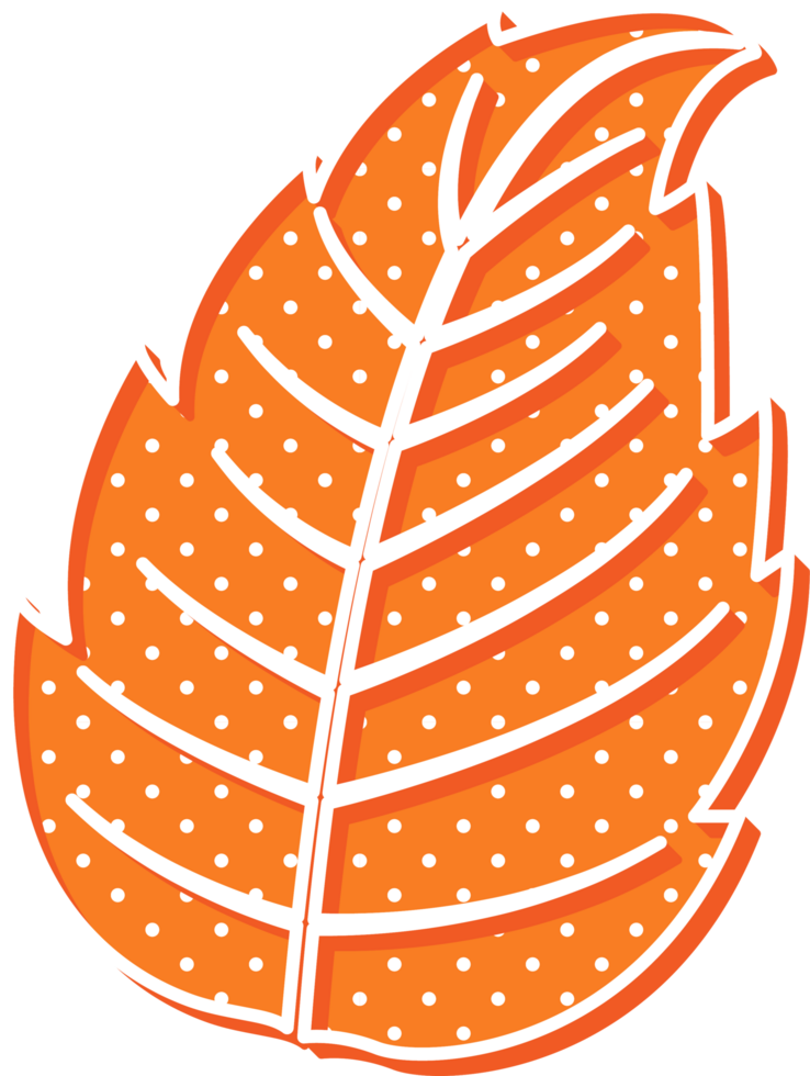 hand draw leaf png