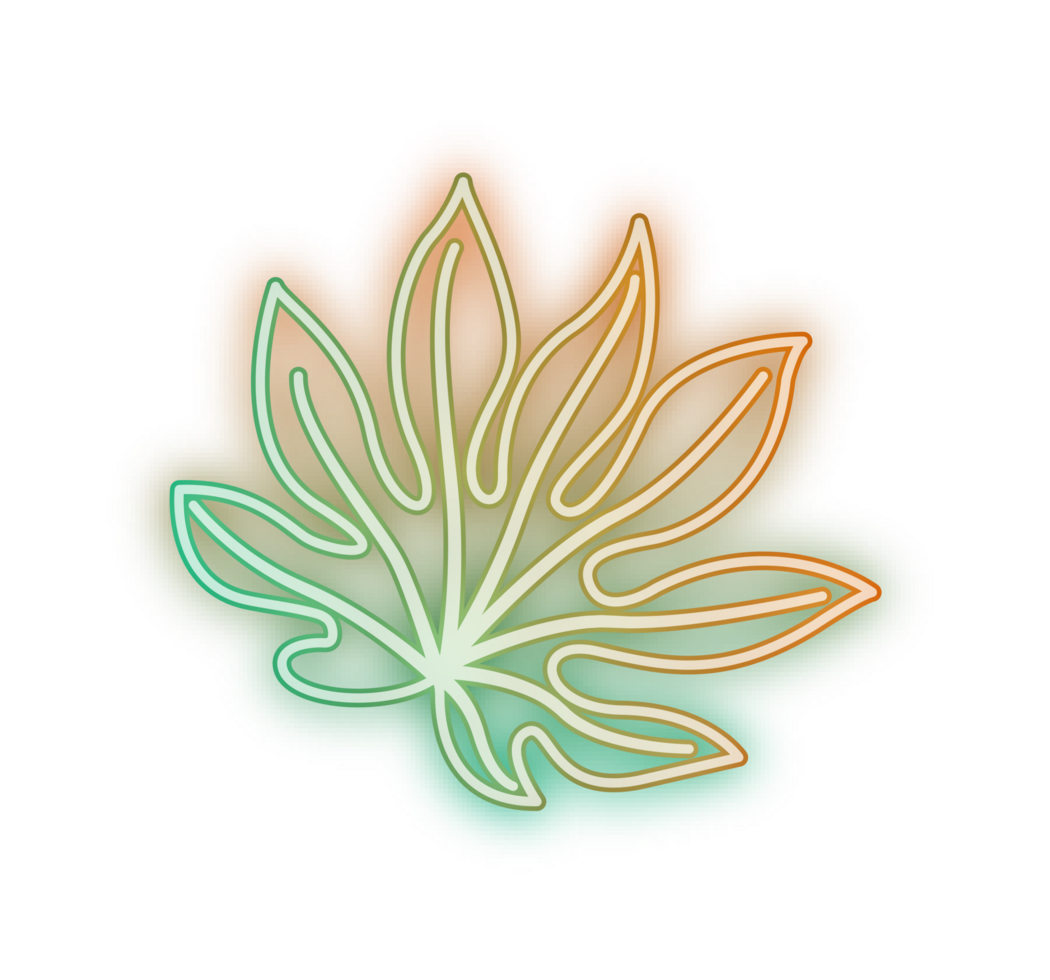 hand draw leaf png