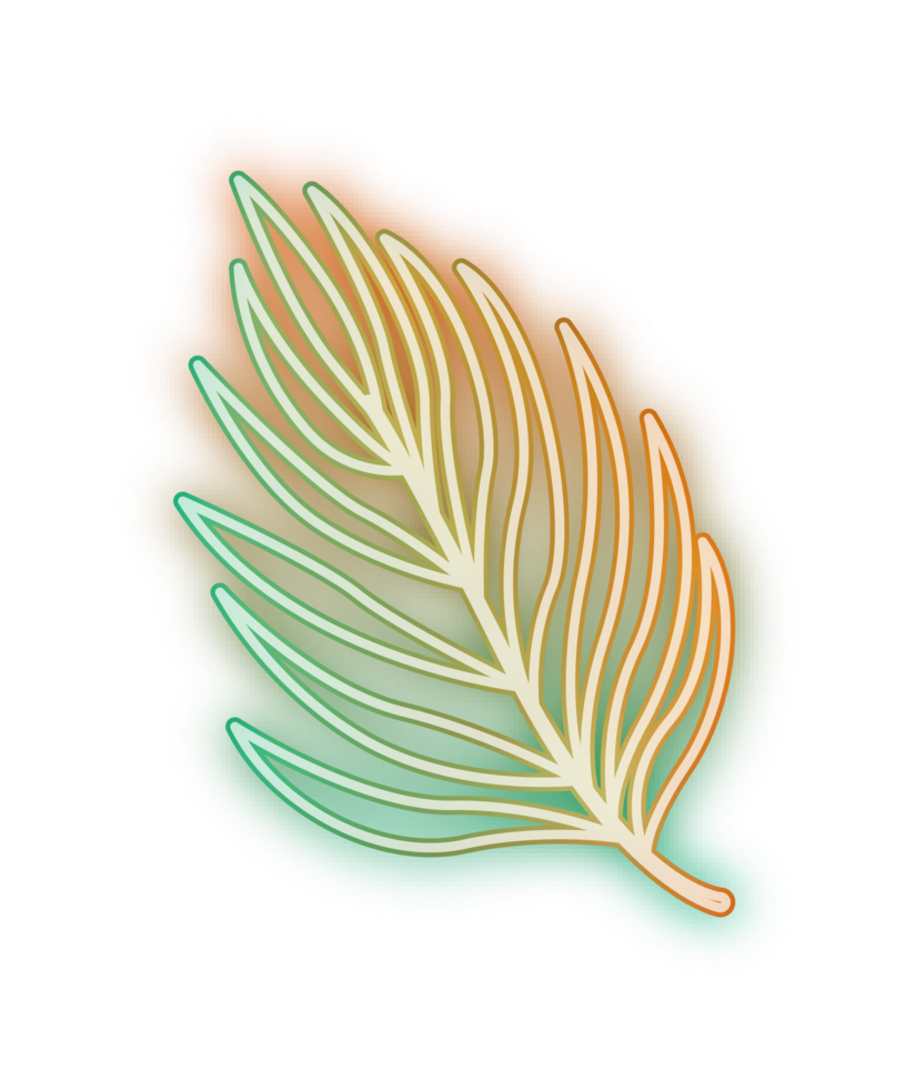 hand draw leaf png