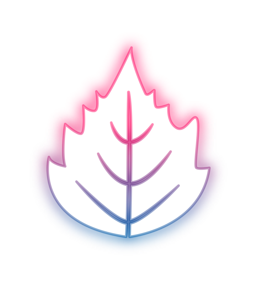 hand draw leaf png