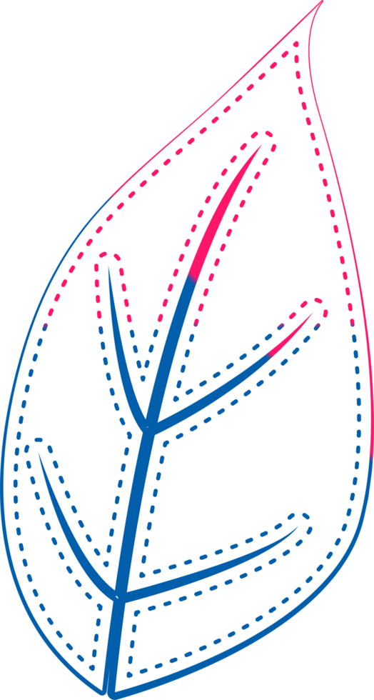 hand draw leaf png