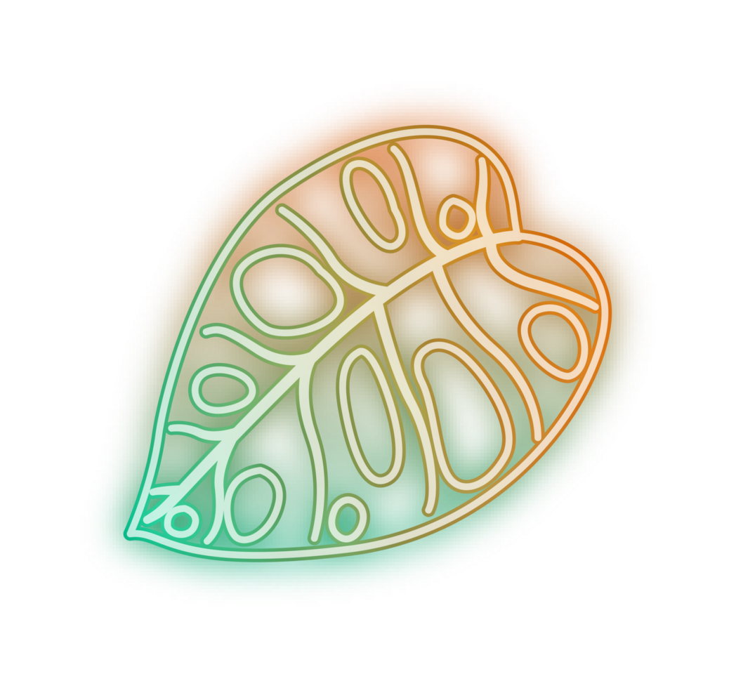 hand draw leaf png