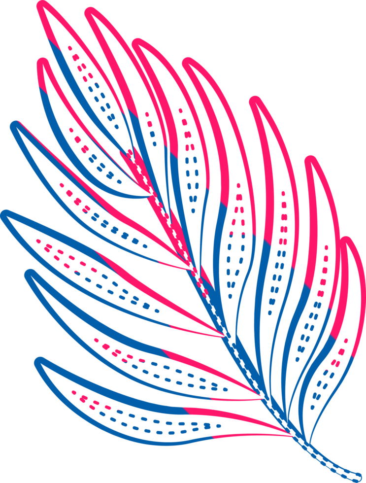 hand draw leaf png