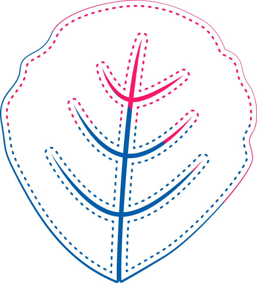 hand draw leaf png