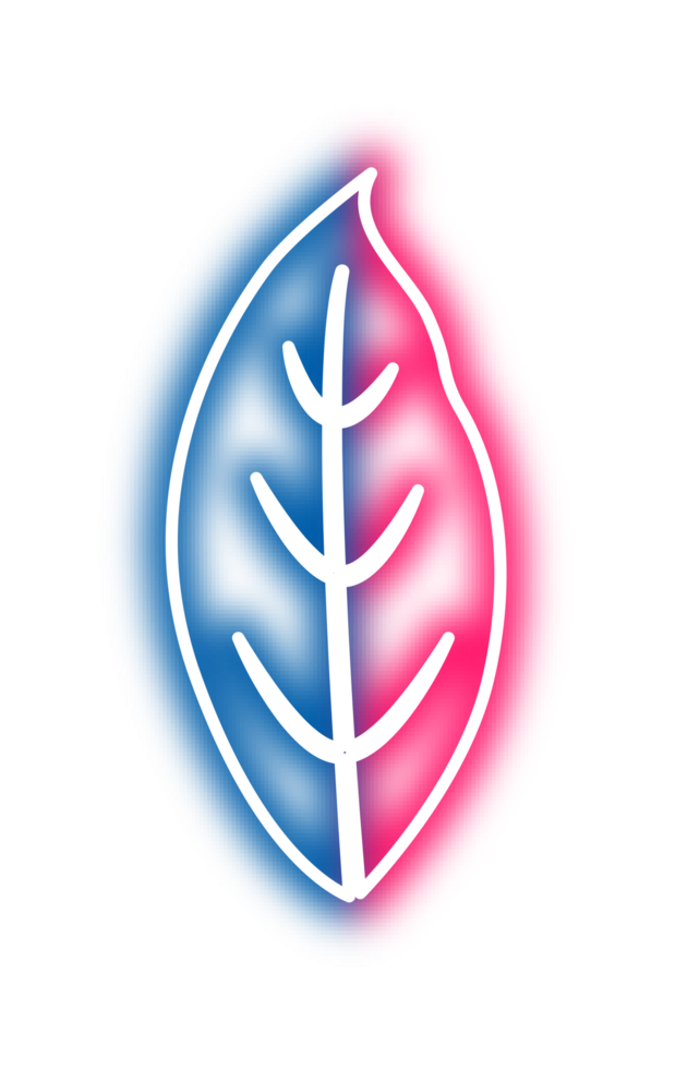 hand draw leaf png