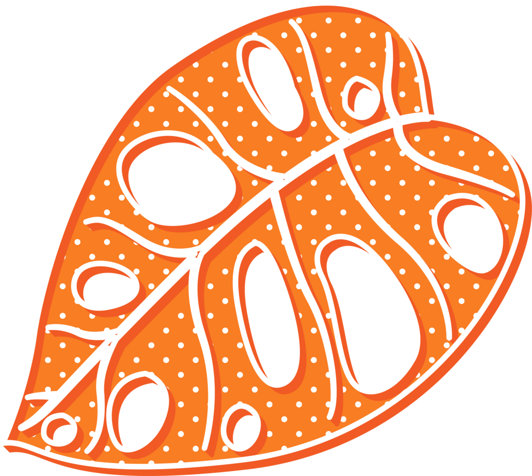 hand draw leaf png