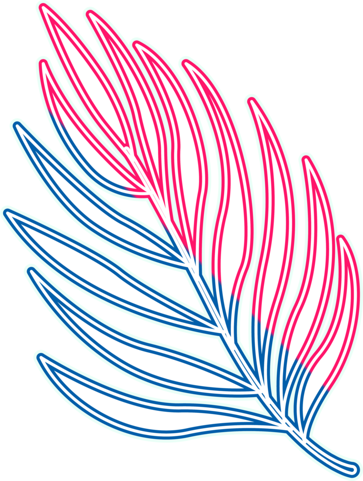 hand draw leaf png