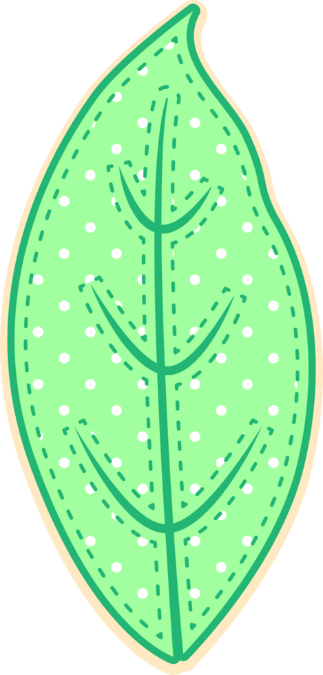 hand draw leaf png