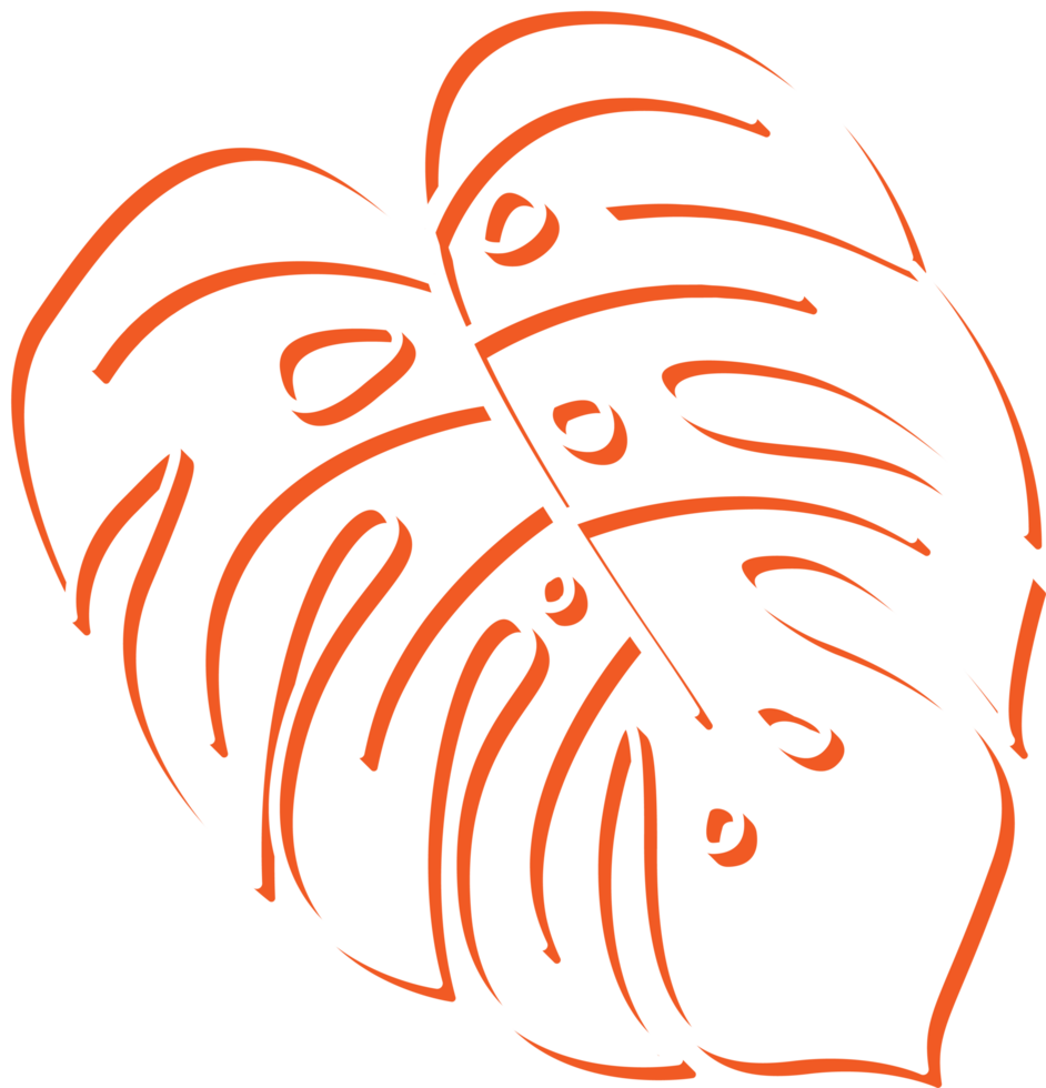 hand draw leaf png