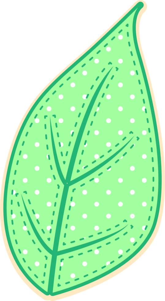hand draw leaf png