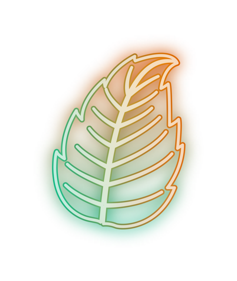hand draw leaf png