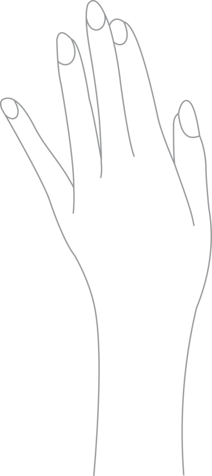 Hand model PNG