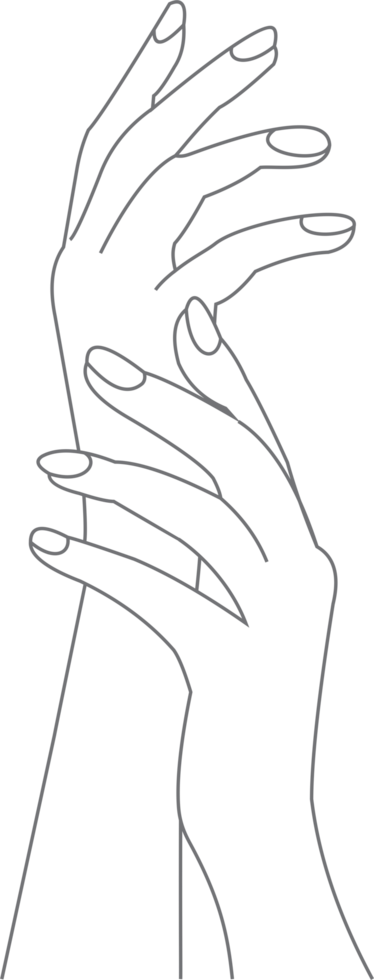 Hand model PNG