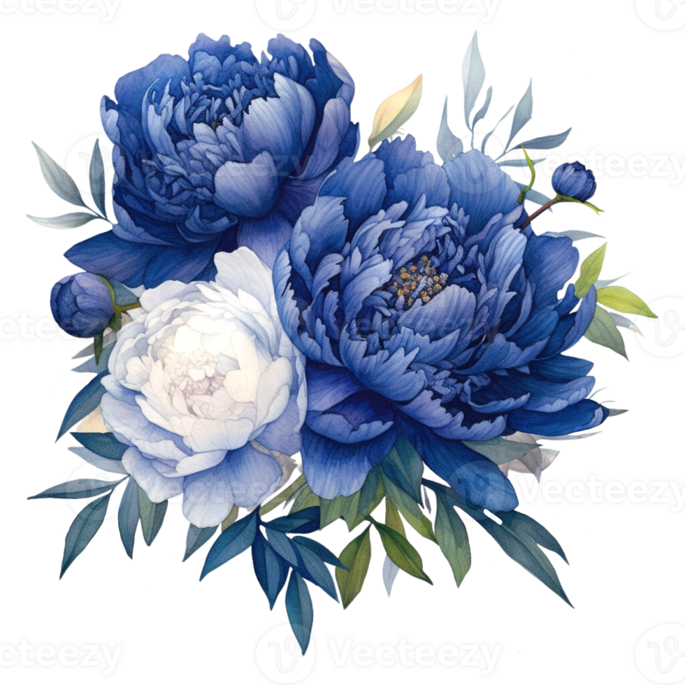 Beautiful Navy And White Peony Bouquet Watercolor Illustration png