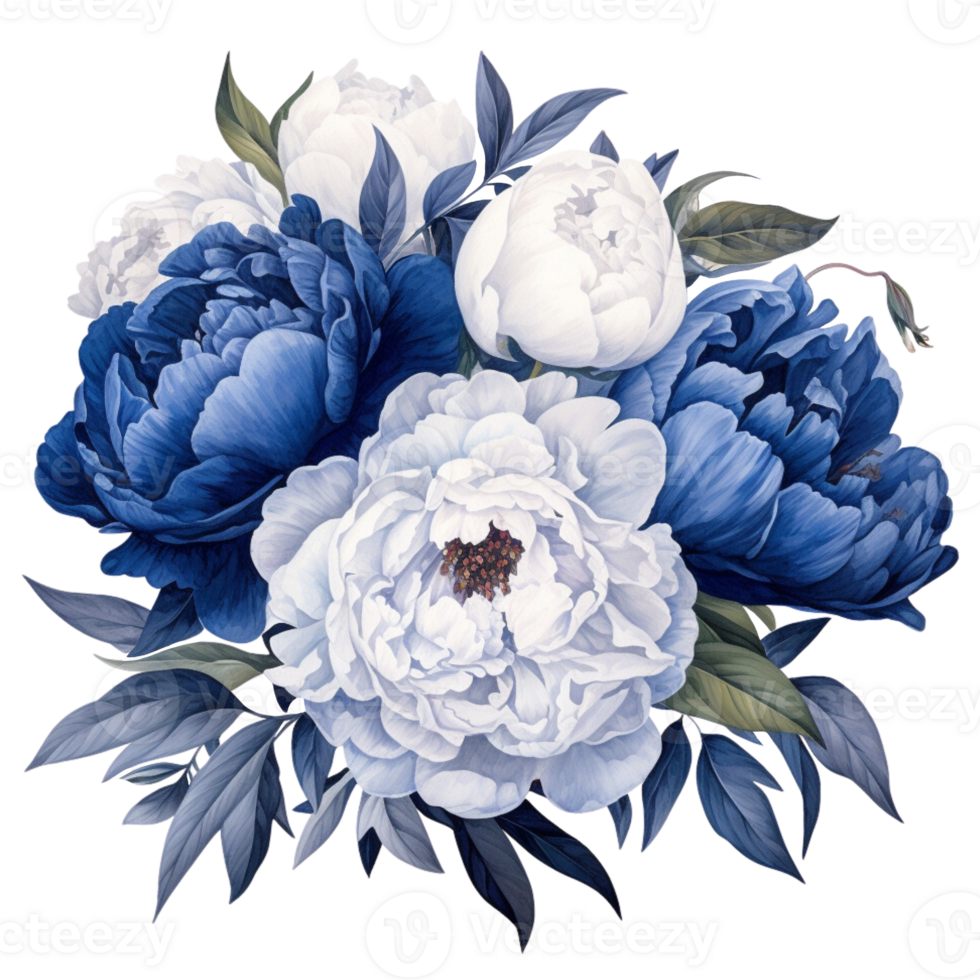 Beautiful Navy And White Peony Bouquet Watercolor Illustration png