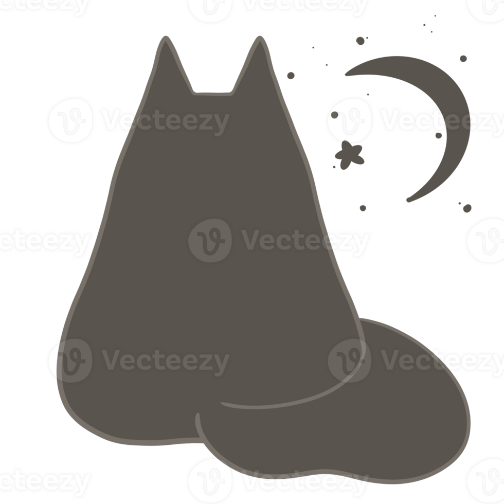 cute cat in different poses png