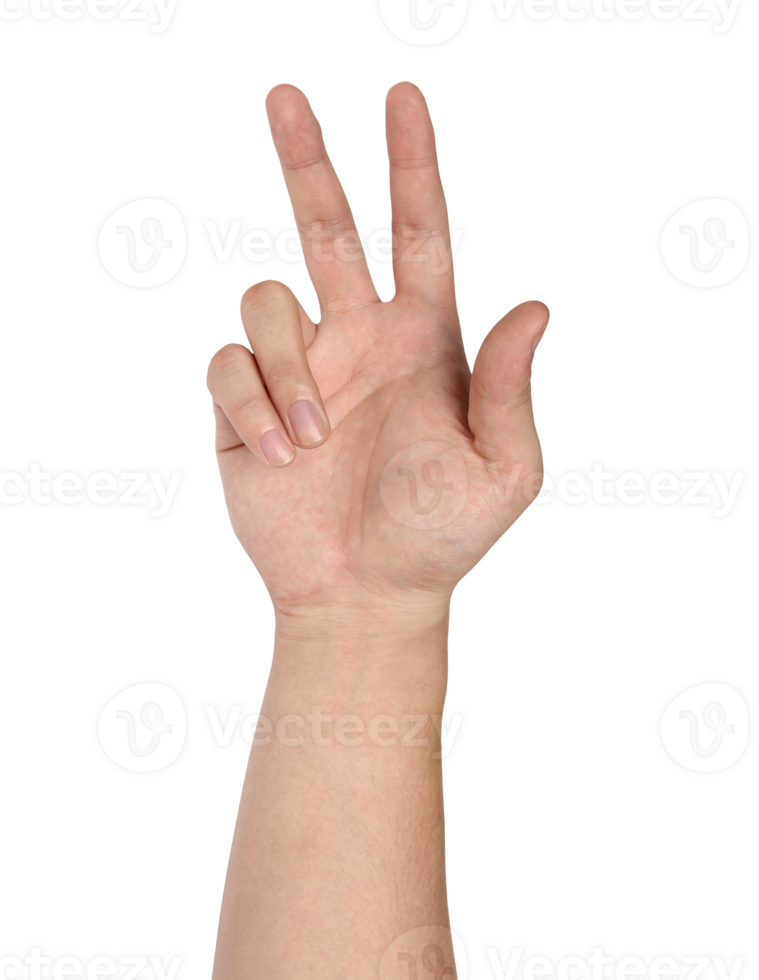 Hand gesture isolated with clipping path png