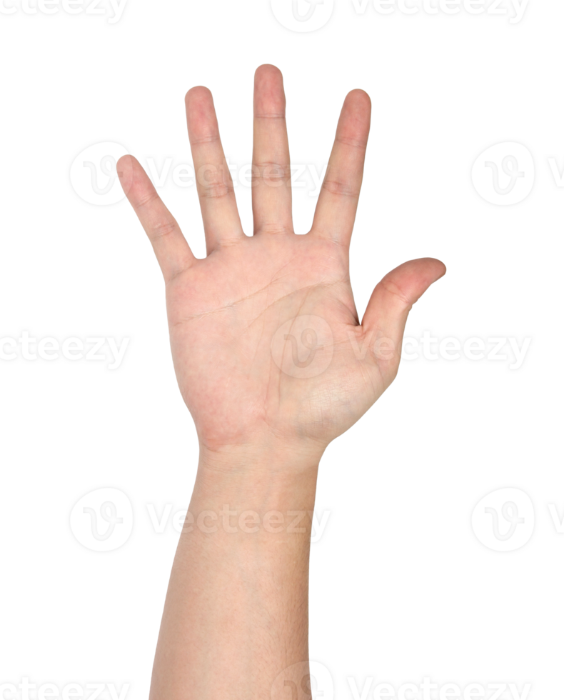 hand symbol isolerat med klippning väg png