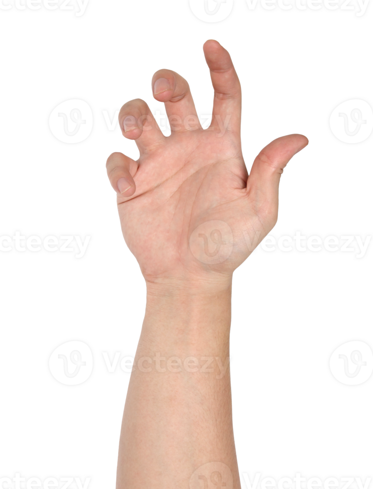 Hand sign isolated with clipping path png