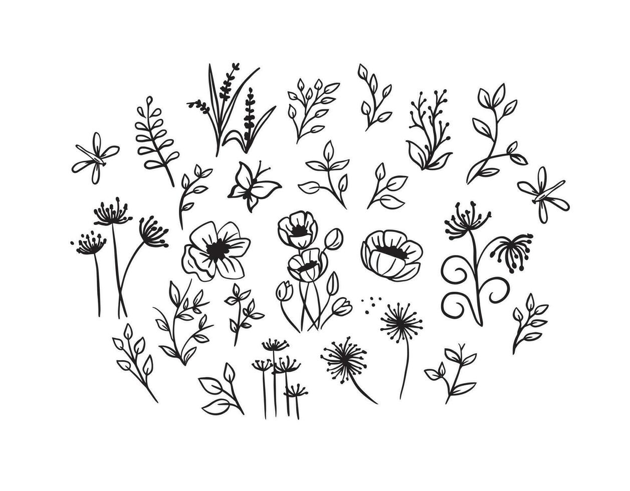 Collection of wild flowers vector