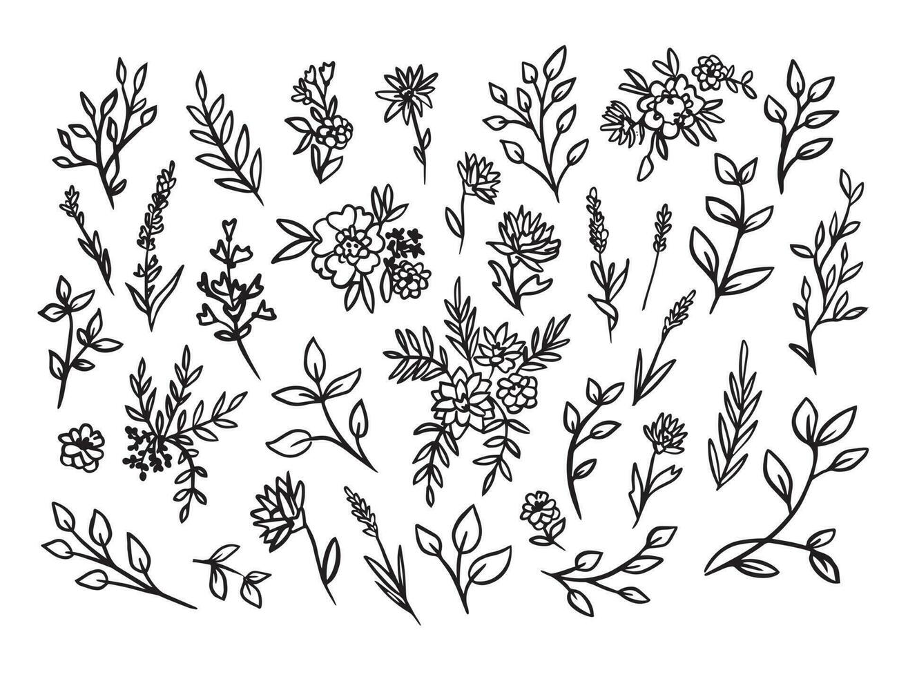 Vector hand drawn big collection with wild and medicinal herbs. Hand drawn botanical sketch with plants and flowers. For printing, cards, packaging.Different flowers on white background.