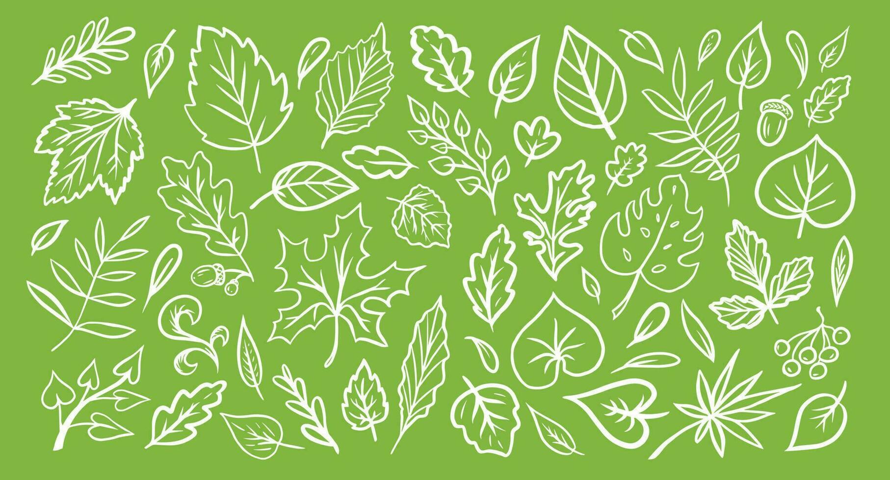 set of leaves in the doodle style. Vector design elements of black lines drawn by hand on the green background. Exotic summer botanical illustrations.