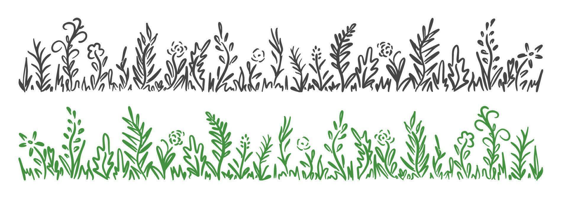 Wild herb, flowers and grass hand drawn in doodle style.Vector illustration.Hand made.Wild flowers and grass in one line for frame.Black and Green lines on white background. vector
