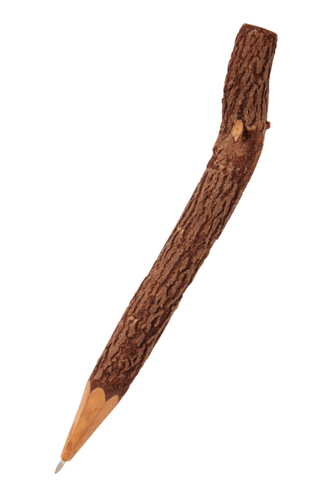 tree branch stick 18927714 PNG