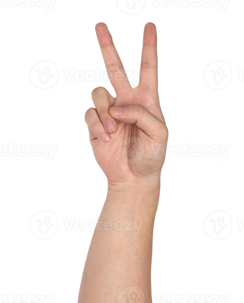 victory hand sign isolated with clipping path png