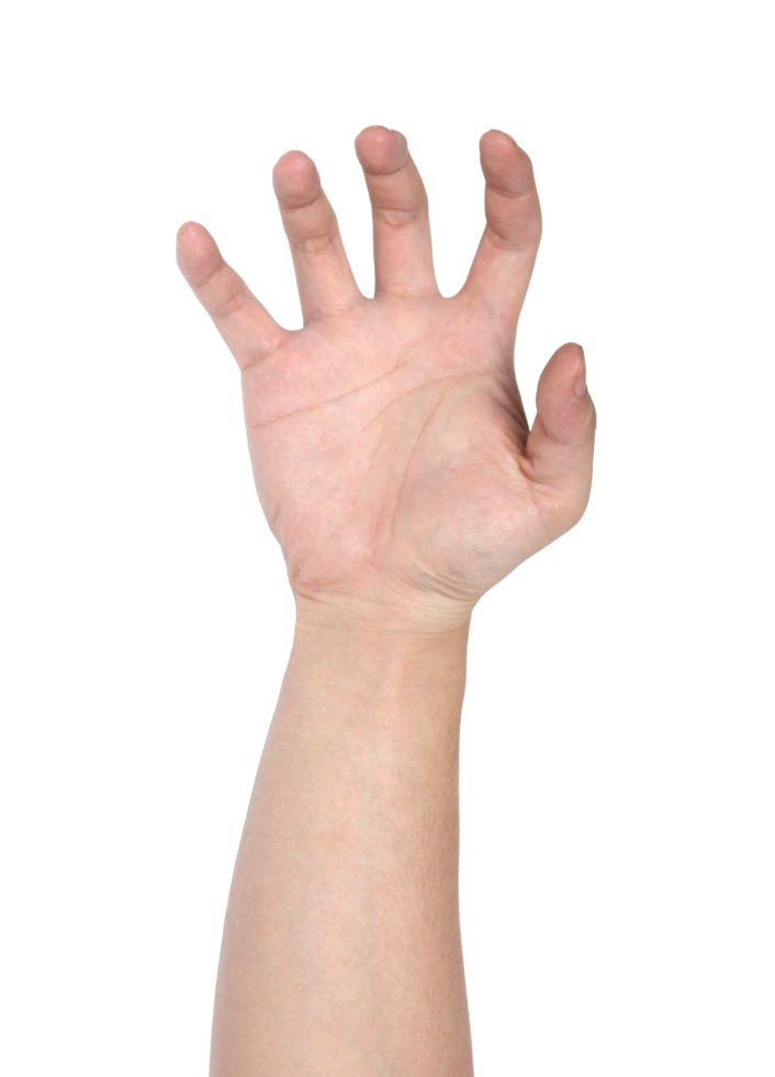 hand tecken isolerat med klippning väg png