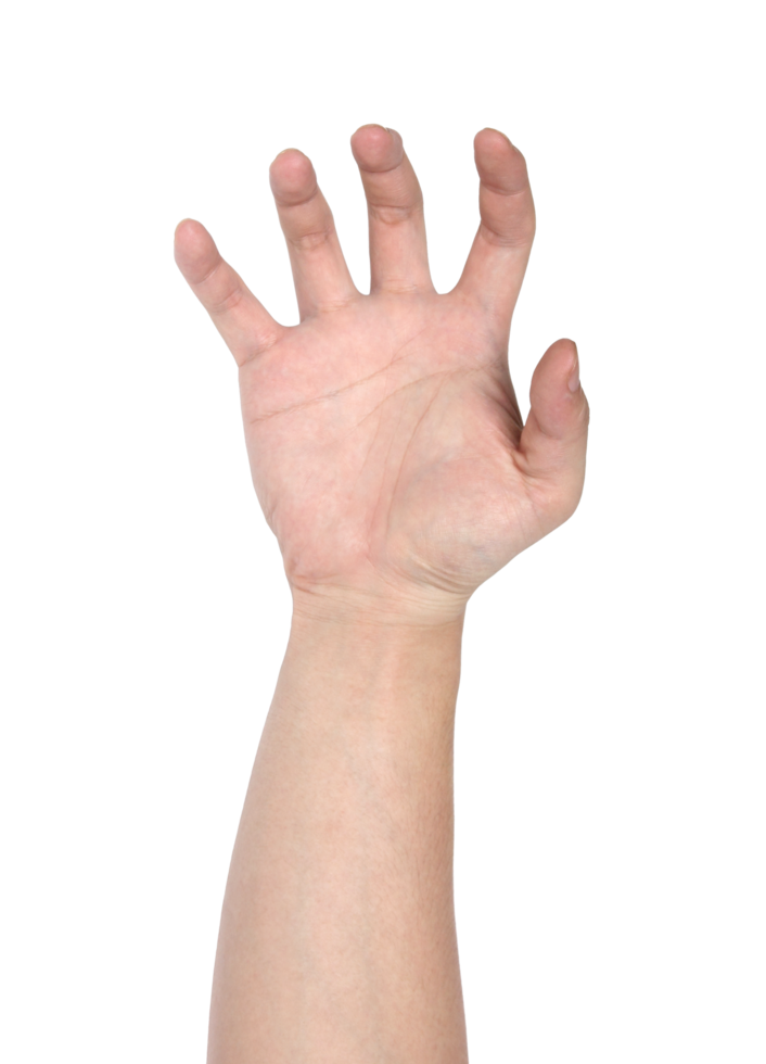 Hand sign isolated with clipping path png