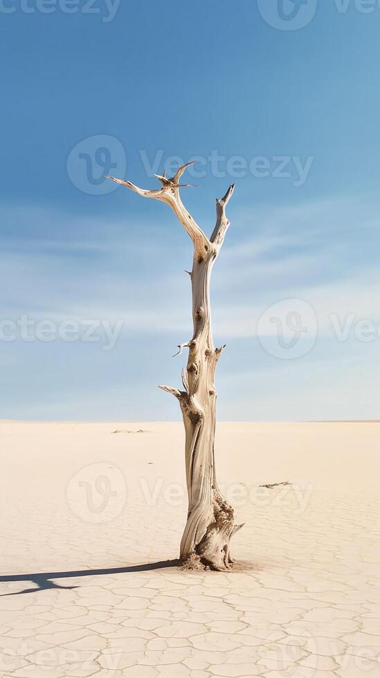 Minimalistic Photography close on a hyper detailed. photo