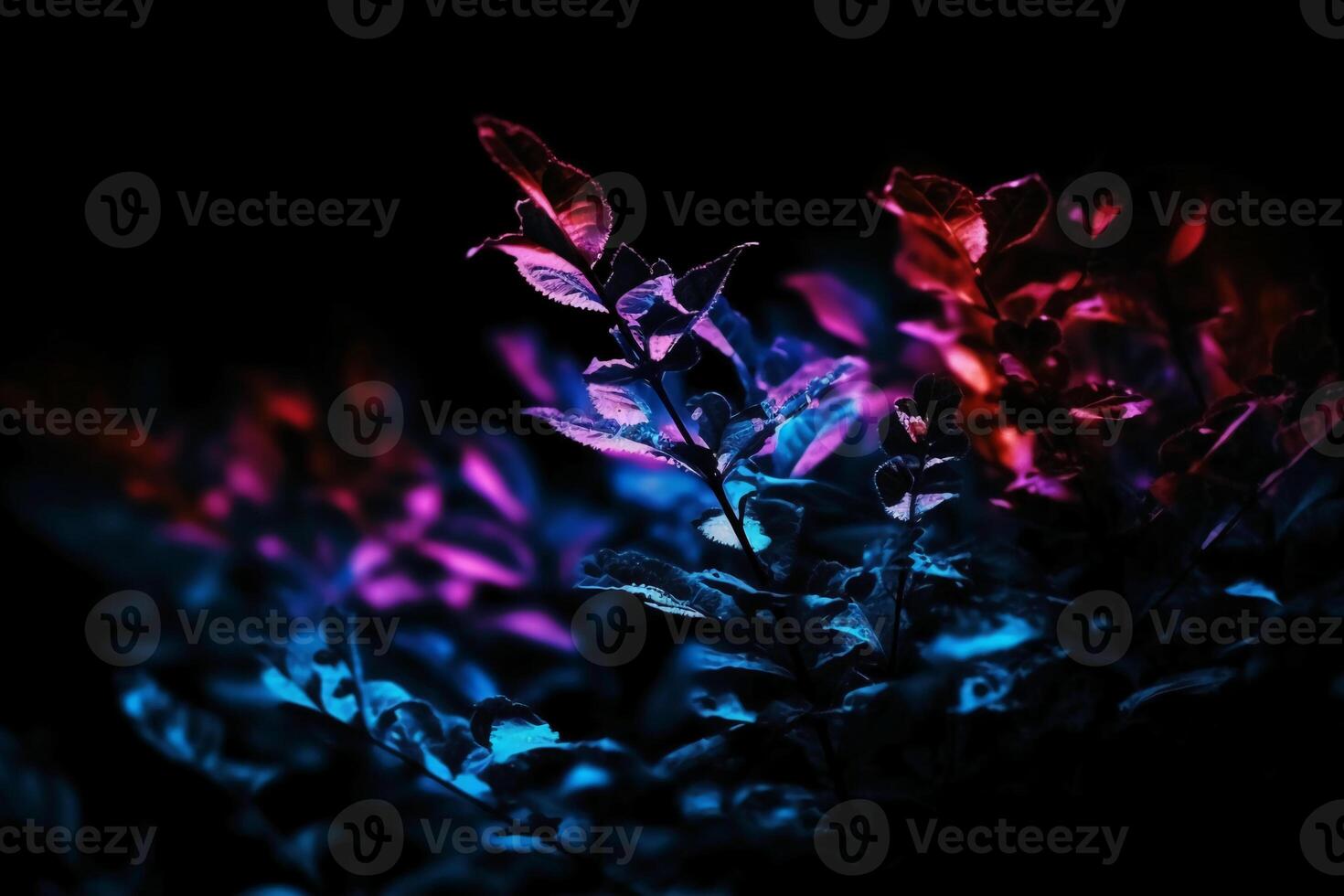 Defocused neon overlay. Blur led glow. Leaf texture glare. Blur fluorescent purple red decorative illumination motion on dark black abstract background. photo