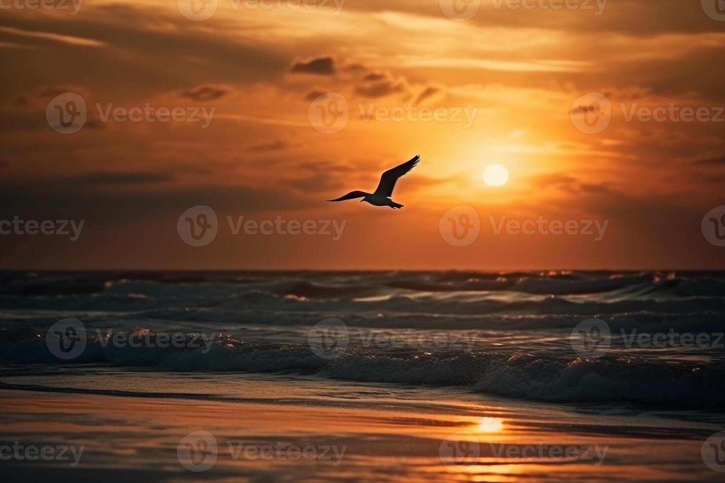 A flying seagull silhouette in sunset sky and beach. photo